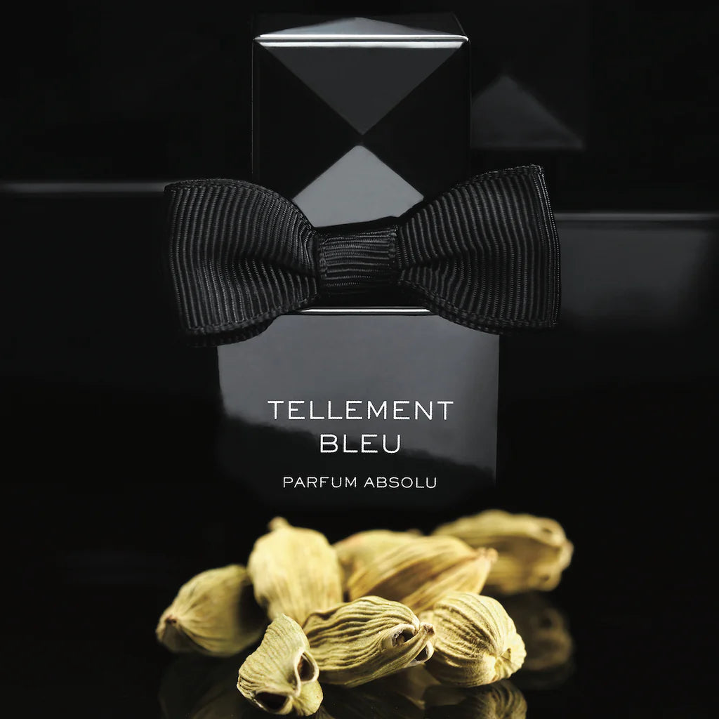 Tellement Bleu Parfum Absolu Alex Simone 100ML