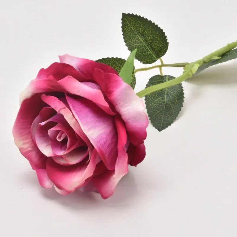 47721833726293|47721833759061