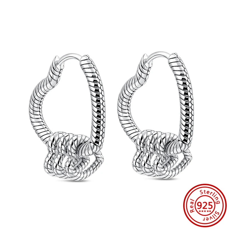 Boucles d'Oreilles en Argent Transparent Brillant