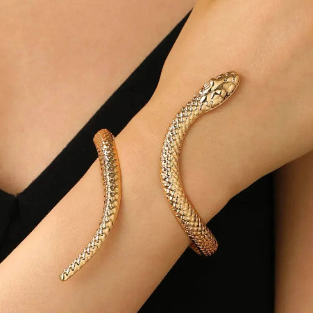 Set Bracelet & Bague Serpent Vintage – Style Punk Ajustable Or & Argent