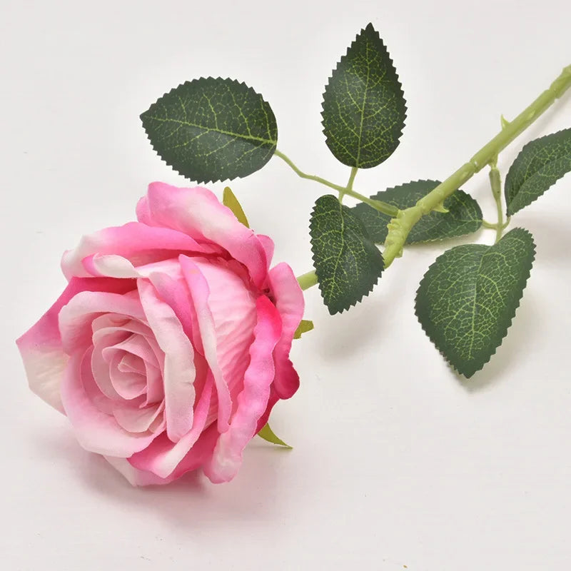 47721833595221|47721833627989