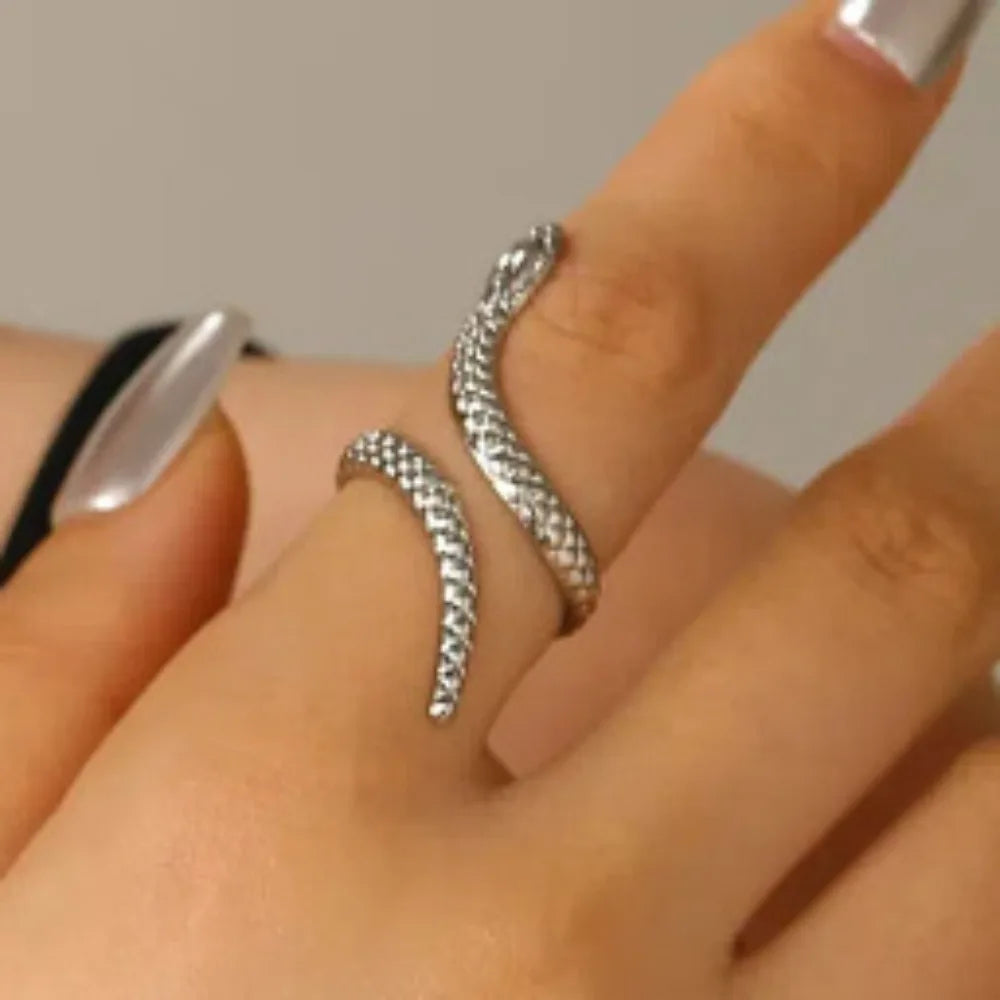 Set Bracelet & Bague Serpent Vintage – Style Punk Ajustable Or & Argent