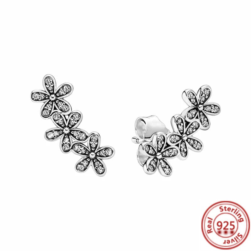 Boucles D'oreilles Assortiment Charmant en Argent