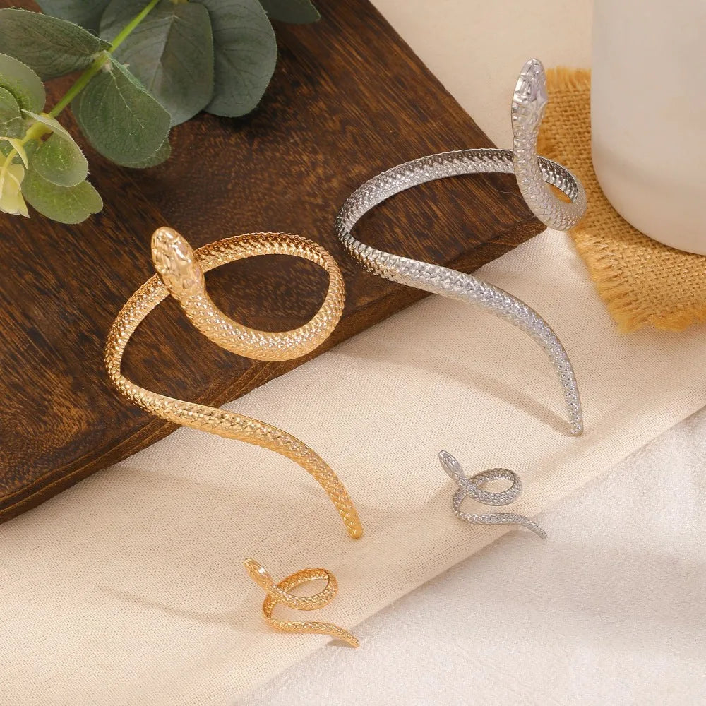 Set Bracelet & Bague Serpent Vintage – Style Punk Ajustable Or & Argent