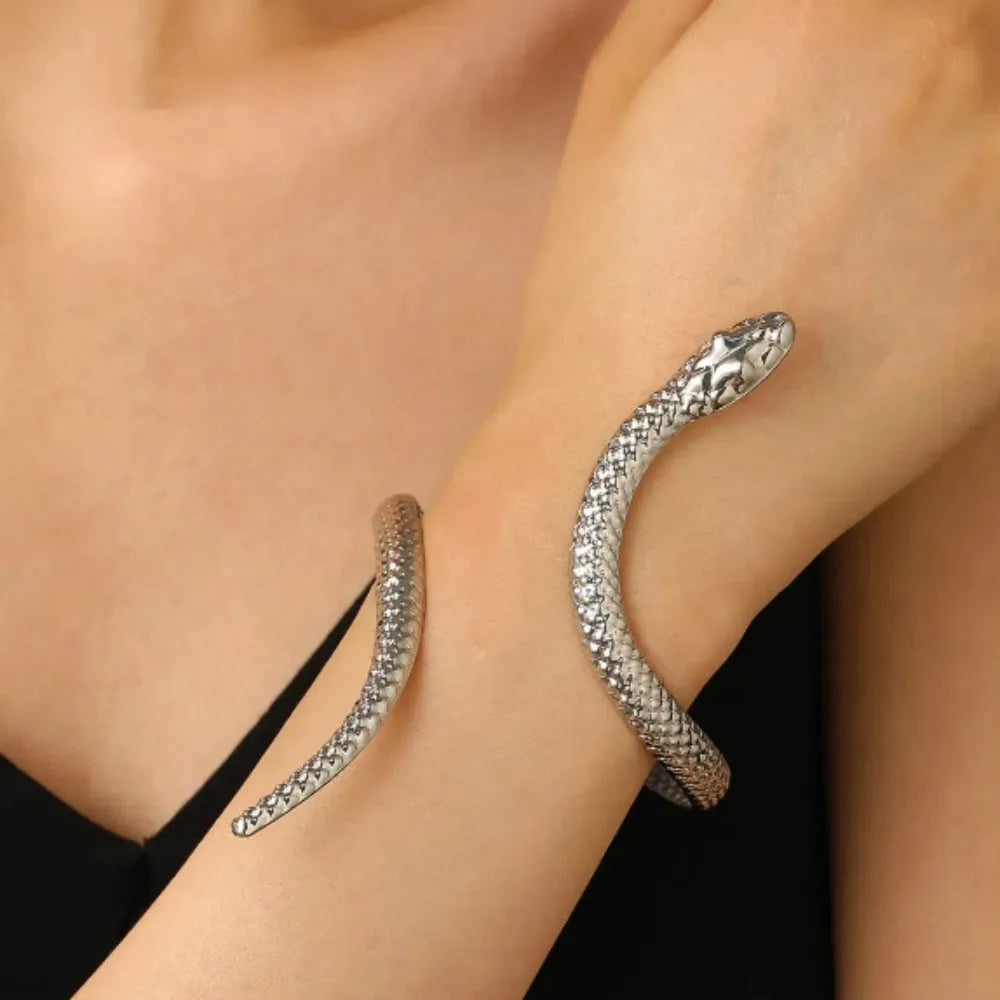 Set Bracelet & Bague Serpent Vintage – Style Punk Ajustable Or & Argent