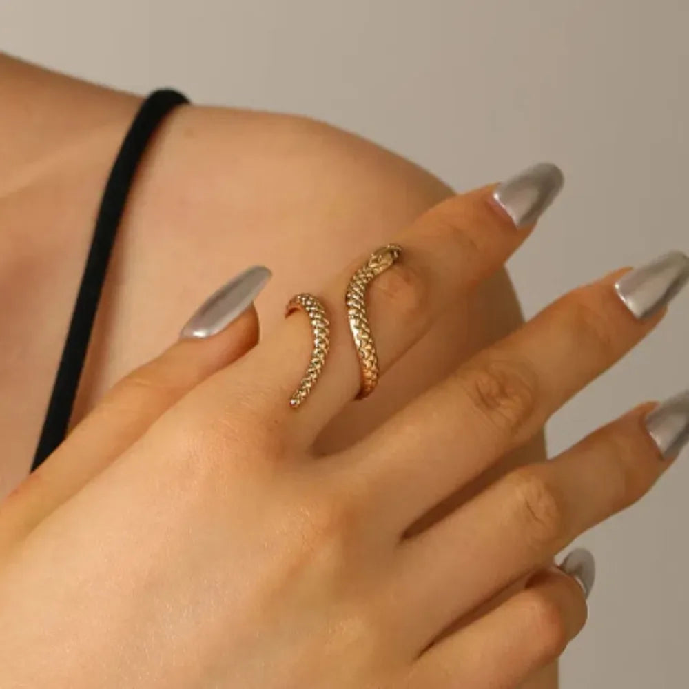 Set Bracelet & Bague Serpent Vintage – Style Punk Ajustable Or & Argent