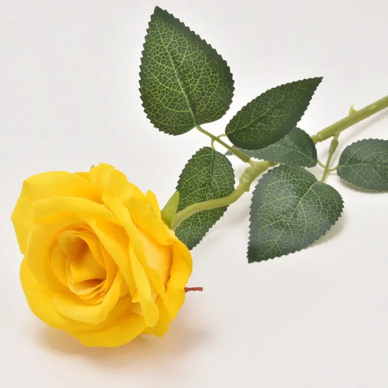 47721833464149|47721833496917