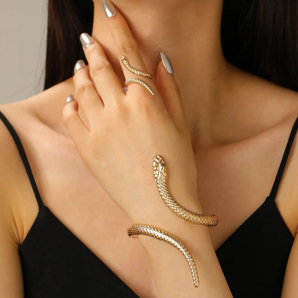 Set Bracelet & Bague Serpent Vintage – Style Punk Ajustable Or & Argent