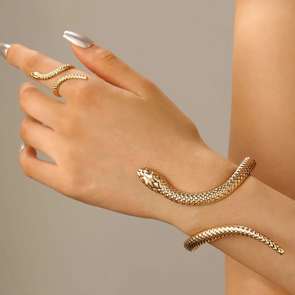 Set Bracelet & Bague Serpent Vintage – Style Punk Ajustable Or & Argent